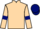 Jockey Silk colours