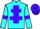 Jockey Silk colours