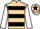Jockey Silk colours