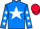 Jockey Silk colours