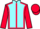 Jockey Silk colours