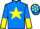 Jockey Silk colours