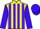 Jockey Silk colours