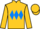 Jockey Silk colours