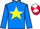 Jockey Silk colours