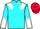 Jockey Silk colours