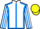 Jockey Silk colours