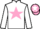 Jockey Silk colours