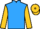 Jockey Silk colours