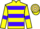 Jockey Silk colours