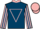 Jockey Silk colours
