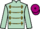Jockey Silk colours
