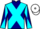 Jockey Silk colours