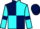 Jockey Silk colours