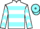 Jockey Silk colours