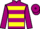 Jockey Silk colours