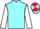 Jockey Silk colours