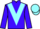 Jockey Silk colours
