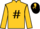 Jockey Silk colours