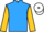 Jockey Silk colours
