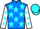 Jockey Silk colours