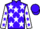 Jockey Silk colours