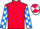 Jockey Silk colours