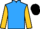 Jockey Silk colours