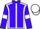 Jockey Silk colours