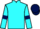 Jockey Silk colours