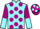 Jockey Silk colours