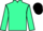 Jockey Silk colours