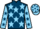 Jockey Silk colours