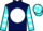 Jockey Silk colours