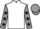Jockey Silk colours