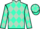 Jockey Silk colours