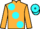 Jockey Silk colours