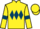 Jockey Silk colours
