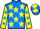 Jockey Silk colours