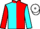 Jockey Silk colours
