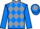 Jockey Silk colours