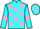 Jockey Silk colours