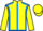 Jockey Silk colours
