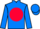 Jockey Silk colours