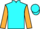 Jockey Silk colours