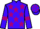 Jockey Silk colours