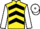 Jockey Silk colours