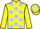 Jockey Silk colours