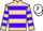 Jockey Silk colours