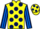 Jockey Silk colours